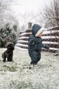 About child, dog, snow, poodle, toddler, pet, boy, snowing, miniature poodle, snowfall, cold, animal, winter, nature, young, baby, childhood, play, playful, cute, outdoors